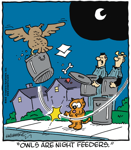 heathcliff